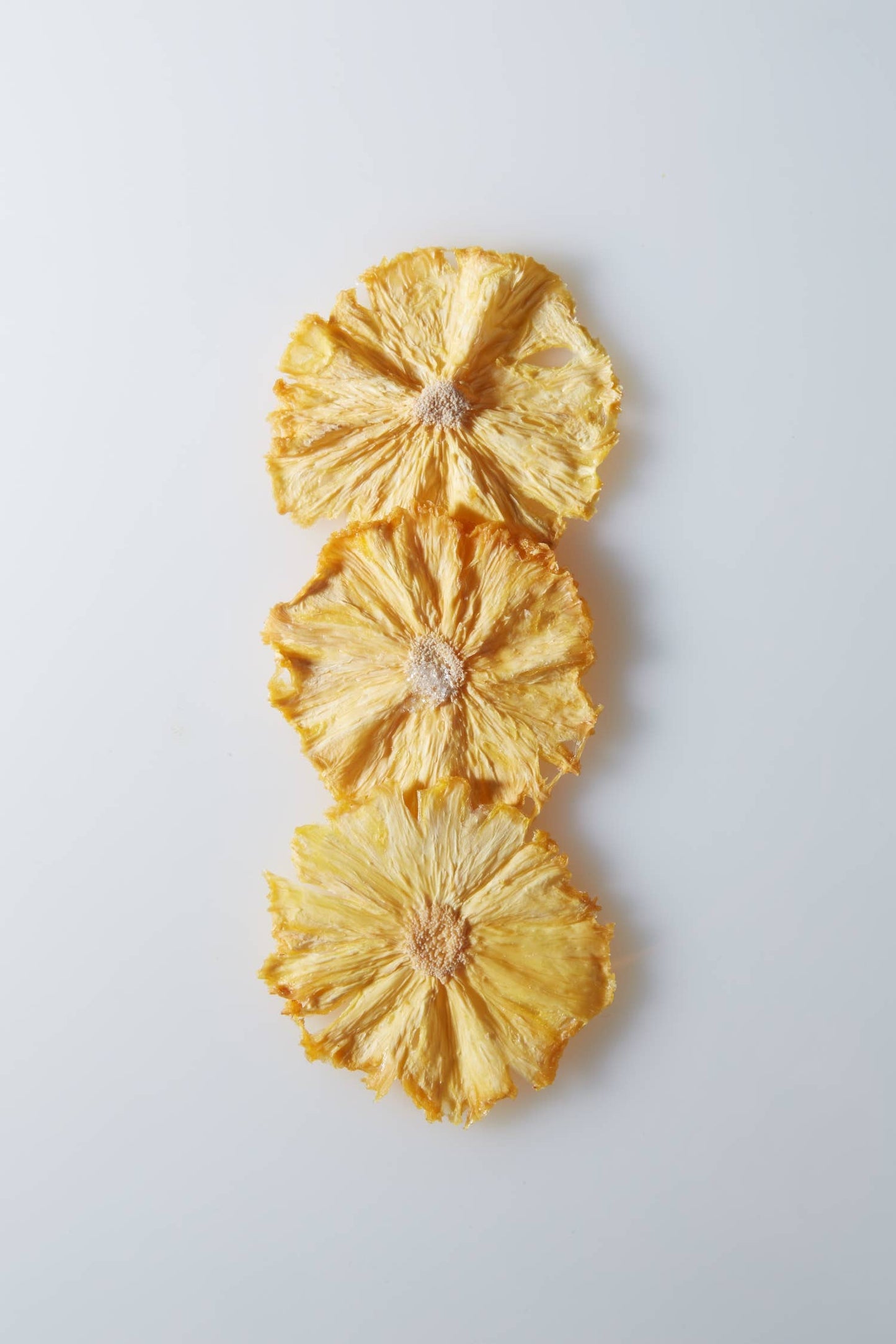 Crispy Pineapple Slices | Food Service Bag: 3oz